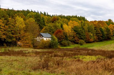 Thüringen Ormanı 'nın güneybatısında, Schmalkalden Thüringen Almanya' sında sonbahara doğru küçük güzel bir yürüyüş.