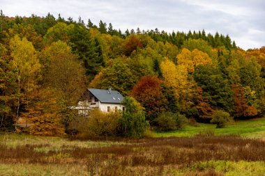 Thüringen Ormanı 'nın güneybatısında, Schmalkalden Thüringen Almanya' sında sonbahara doğru küçük güzel bir yürüyüş.