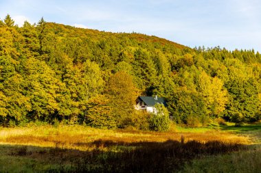 Thüringen Ormanı 'nın güneybatısında, Schmalkalden Thüringen Almanya' sında sonbahara doğru küçük güzel bir yürüyüş.