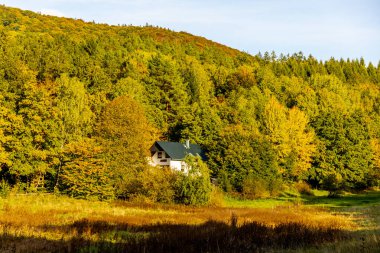 Thüringen Ormanı 'nın güneybatısında, Schmalkalden Thüringen Almanya' sında sonbahara doğru küçük güzel bir yürüyüş.