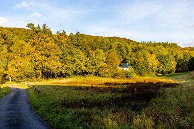 Thüringen Ormanı 'nın güneybatısında, Schmalkalden Thüringen Almanya' sında sonbahara doğru küçük güzel bir yürüyüş.
