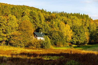 Thüringen Ormanı 'nın güneybatısında, Schmalkalden Thüringen Almanya' sında sonbahara doğru küçük güzel bir yürüyüş.