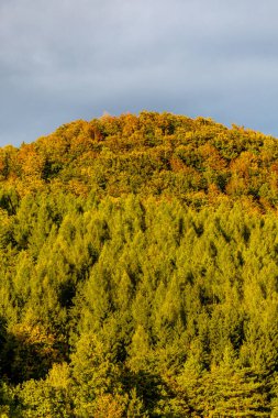 Thüringen Ormanı 'nın güneybatısında, Schmalkalden Thüringen Almanya' sında sonbahara doğru küçük güzel bir yürüyüş.