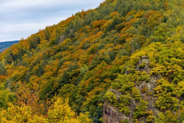 Thüringen Ormanı 'nın güneybatısında, Schmalkalden Thüringen Almanya' sında sonbahara doğru küçük güzel bir yürüyüş.