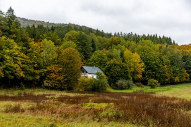 Thüringen Ormanı 'nın güneybatısında, Schmalkalden Thüringen Almanya' sında sonbahara doğru küçük güzel bir yürüyüş.
