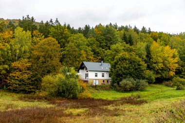 Thüringen Ormanı 'nın güneybatısında, Schmalkalden Thüringen Almanya' sında sonbahara doğru küçük güzel bir yürüyüş.