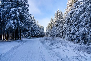 Kış Harikalar Diyarı Thüringen Ormanı 'nda kış sporları beldesi Oberhof am Rennsteig Thuringia Almanya