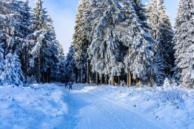 Kış Harikalar Diyarı Thüringen Ormanı 'nda kış sporları beldesi Oberhof am Rennsteig Thuringia Almanya