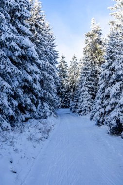 Kış Harikalar Diyarı Thüringen Ormanı 'nda kış sporları beldesi Oberhof am Rennsteig Thuringia Almanya