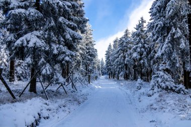 Kış Harikalar Diyarı Thüringen Ormanı 'nda kış sporları beldesi Oberhof am Rennsteig Thuringia Almanya