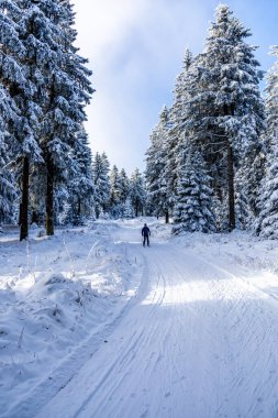 Kış Harikalar Diyarı Thüringen Ormanı 'nda kış sporları beldesi Oberhof am Rennsteig Thuringia Almanya