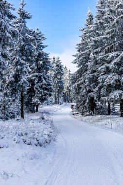 Kış Harikalar Diyarı Thüringen Ormanı 'nda kış sporları beldesi Oberhof am Rennsteig Thuringia Almanya