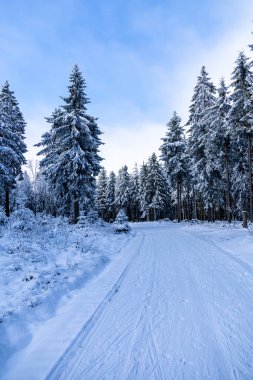 Kış Harikalar Diyarı Thüringen Ormanı 'nda kış sporları beldesi Oberhof am Rennsteig Thuringia Almanya