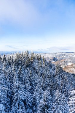 Kış Harikalar Diyarı Thüringen Ormanı 'nda kış sporları beldesi Oberhof am Rennsteig Thuringia Almanya