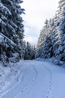 Kış Harikalar Diyarı Thüringen Ormanı 'nda kış sporları beldesi Oberhof am Rennsteig Thuringia Almanya