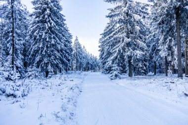 Kış Harikalar Diyarı Thüringen Ormanı 'nda kış sporları beldesi Oberhof am Rennsteig Thuringia Almanya