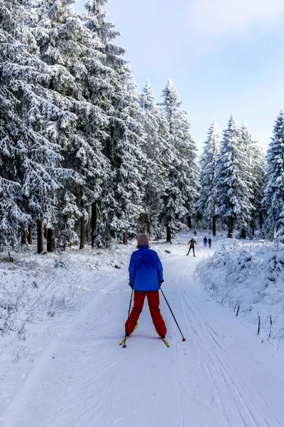 Kış Harikalar Diyarı Thüringen Ormanı 'nda kış sporları beldesi Oberhof am Rennsteig Thuringia Almanya