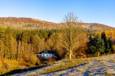 Thüringen Ormanı 'nda kış harikalar diyarı Rennsteig patikasındaki Neuhoefer Wiese çayırı gün batımında - Thüringen - Almanya