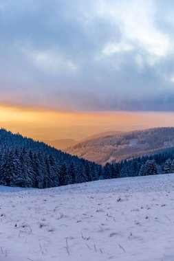 Thüringen Ormanı 'nda kış harikalar diyarı Rennsteig patikasındaki Neuhoefer Wiese çayırı gün batımında - Thüringen - Almanya