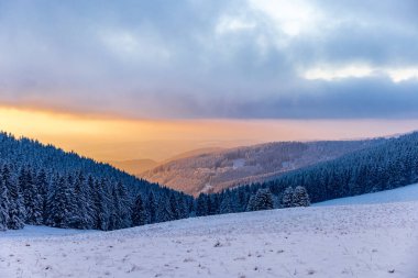 Thüringen Ormanı 'nda kış harikalar diyarı Rennsteig patikasındaki Neuhoefer Wiese çayırı gün batımında - Thüringen - Almanya