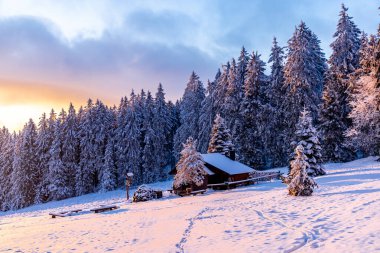 Thüringen Ormanı 'nda kış harikalar diyarı Rennsteig patikasındaki Neuhoefer Wiese çayırı gün batımında - Thüringen - Almanya