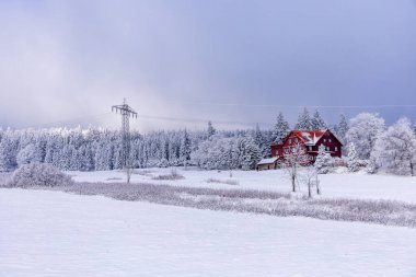 Thüringen Ormanı 'nda kış harikalar diyarı Rennsteig patikasındaki Ebertswiese çayırı güzel kış havasında Thüringen Almanya