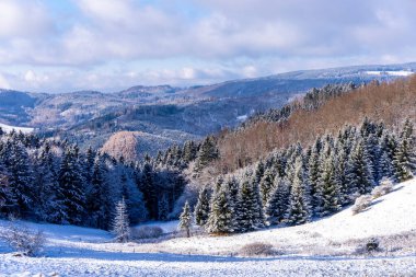 Thüringen Ormanı 'nda kış harikalar diyarı Rennsteig patikasındaki Ebertswiese çayırı güzel kış havasında Thüringen Almanya