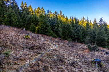 Thüringen Ormanı 'nda kış yürüyüşü Rennsteig' in en yüksek noktası olan Schneekopf - Thüringen - Almanya