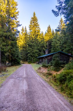 Thüringen Ormanı 'nda kış yürüyüşü Rennsteig' in en yüksek noktası olan Schneekopf - Thüringen - Almanya