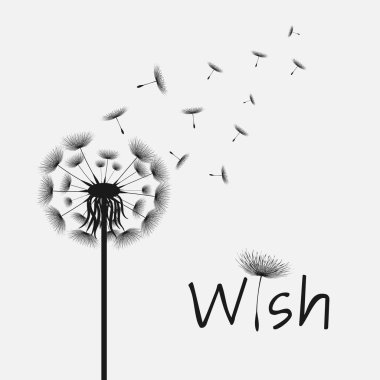 Vektör illüstrasyon karahindiba zamanı. Rüzgarda uçuşan kara hindiba tohumları. Rüzgar bir karahindibayı şişiriyor. Beyaz, düzenlenebilir bir zemin.