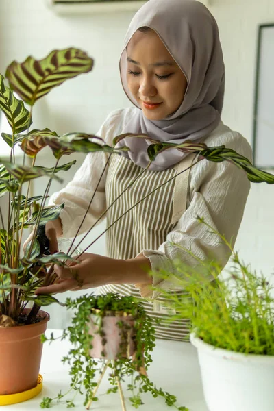 Lifestyle at home, Cute malay woman doing gardening indoor