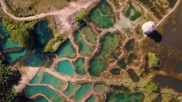 Imágenes Majestuosa Piscina Esmeralda Sepang Malasia — Vídeos de Stock