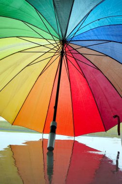 çok renkli şemsiye