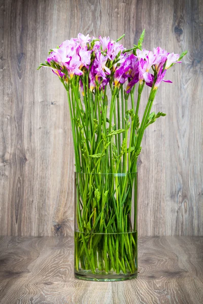 Freesia fleurs dans le vase — Photo