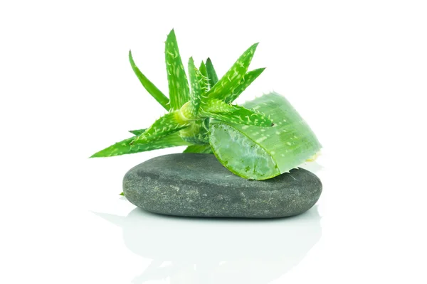 Sliced aloe leaves and spa stone — Stock Photo, Image