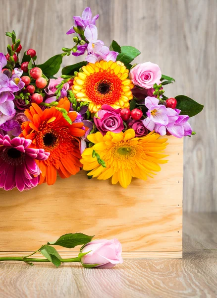 混合された美しい花の箱 — ストック写真
