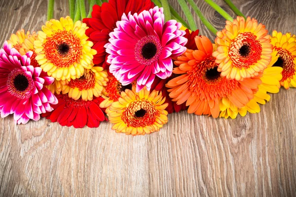 Gemischte schöne Gänseblümchenblümchen — Stockfoto