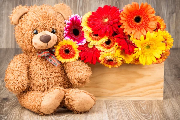 Gänseblümchen in Schachtel und Teddybär — Stockfoto