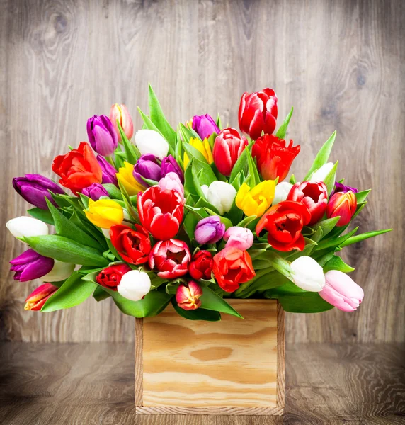 Bunte Tulpen im Kasten — Stockfoto