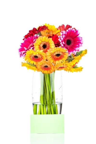 Daisy flowers and a blank greeting card — Stock Photo, Image