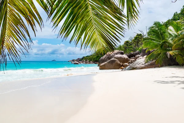 Schöner tropischer Strand — Stockfoto