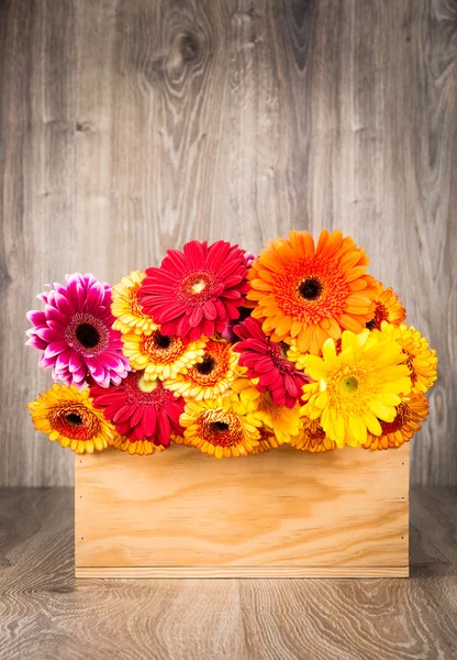 Caixa de flores de margarida — Fotografia de Stock