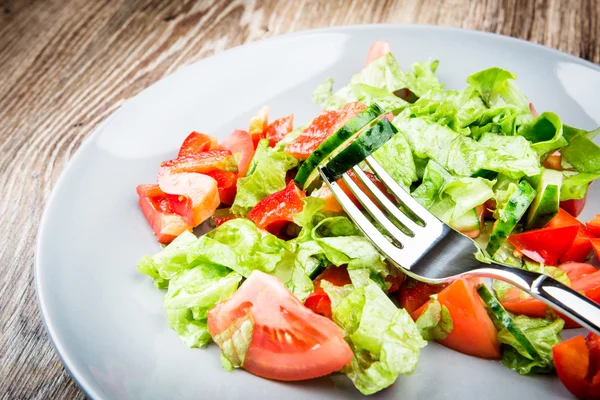 Szerves növényi saláta — Stock Fotó