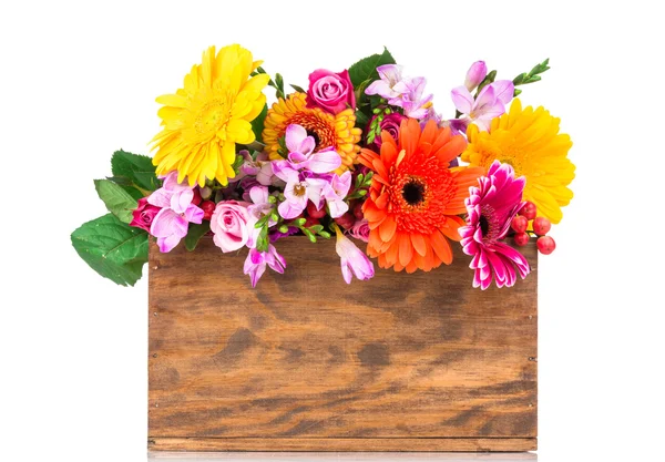 Box of mixed beautiful flowers — Stock Photo, Image