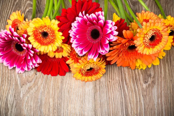 Gemischte schöne Gänseblümchenblümchen — Stockfoto