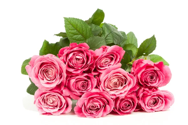 Strauß rosa Rosen — Stockfoto