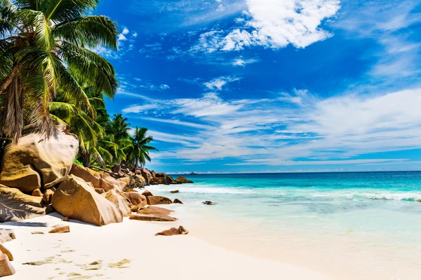 Hermosa playa tropical —  Fotos de Stock