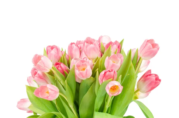 Bouquet of pink tulips — Stock Photo, Image