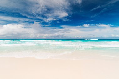 Güzel tropikal plaj