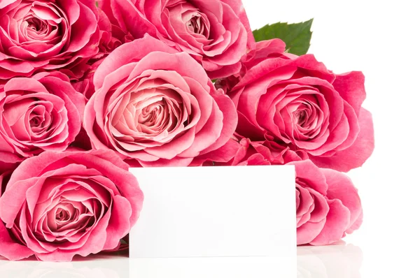 Strauß rosa Rosen — Stockfoto